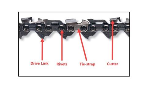 Chainsaw Chain Diagram: (Exploring The Each Part!) 2024 » Tool Glory