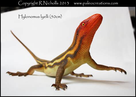 Paleocreations.com, Hylonomus lyelli model...