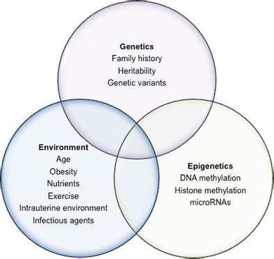 Interaction between genes, environment and epigenetics in disease. The ...