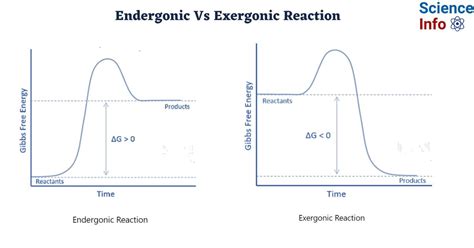 Difference Between Endergonic and Exergonic Reaction