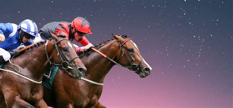 Palmaris Services Racenight | Hamilton Park