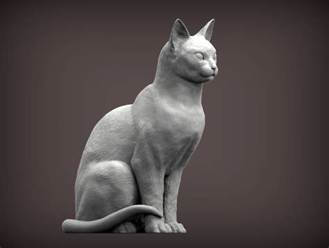 3D file abyssinian cat 3D print model 🐱・3D printing design to download・Cults