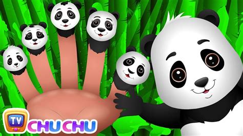 Finger Family Panda | ChuChu TV Animal Finger Family Songs & Nursery ...