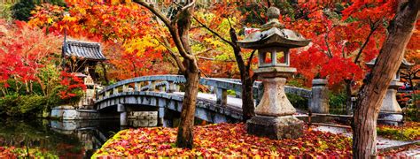 Koyo Hunting Japan: 7 Incredible Fall Trekking & Walking Tours