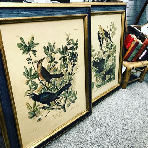 Elegant Bird Prints in Frames