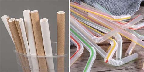 Paper Straws Might Be More Harmful to the Environment Than Plastic Straws! - SciCulture