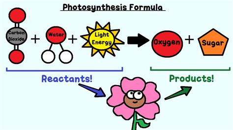 On the left of the formula, you will find the reactants. That means ...