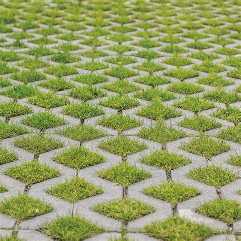 GrassPark - Permeable Paving Grid (600 x 400 x 100 mm) by Pavestone | Paving Direct