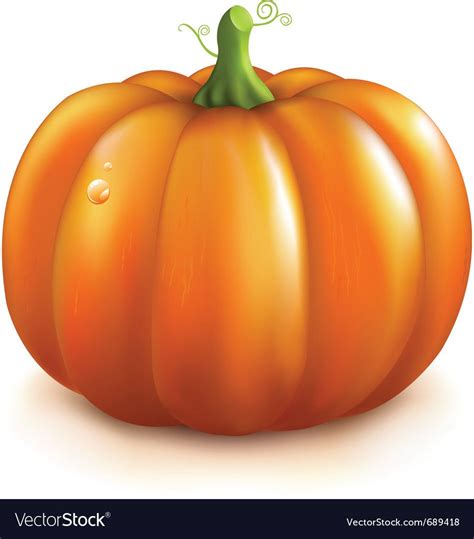 Orange pumpkin Royalty Free Vector Image - VectorStock | Pumpkin, Pumpkin images, Pumpkin house