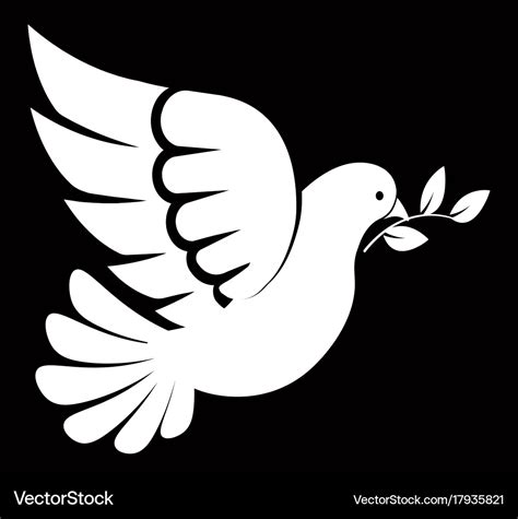 Pigeon or dove white bird Royalty Free Vector Image