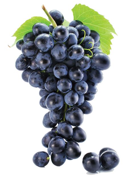 Uvas | Grapes | Grapes, Grape soda, Black grapes