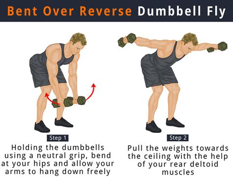 Chest Flyes Dumbbell - Cheat Dumper