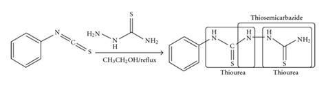 Synthesis of N1-phenylhydrazine-1,2-bis(carbothioamide). | Download Scientific Diagram