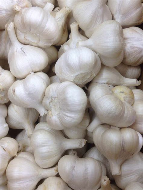 Unlocking the Health Benefits of Garlic: 10 Proven Reasons to Add It to ...