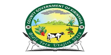 List Of Kirinyaga County Government Ministers (CECs)