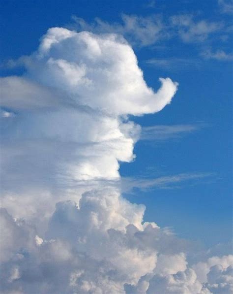 11 best Funny Shaped Clouds images on Pinterest | Mother nature, Cloud ...