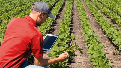 Careers | Crop and Soil Sciences | NC State University