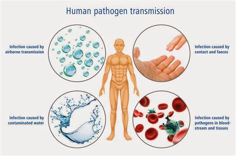 # 56 Summary of Infectious diseases and Antibiotics | Biology Notes for A level