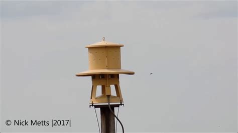 Sentry 3v8 - Louisiana, MO (Louisiana City Weekly Tornado Siren Test) 6/28/17 - YouTube