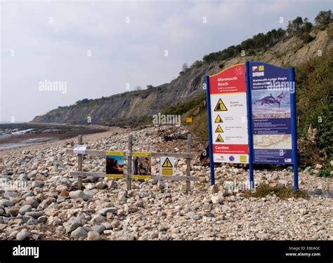 Lyme regis cliff beach hi-res stock photography and images - Alamy