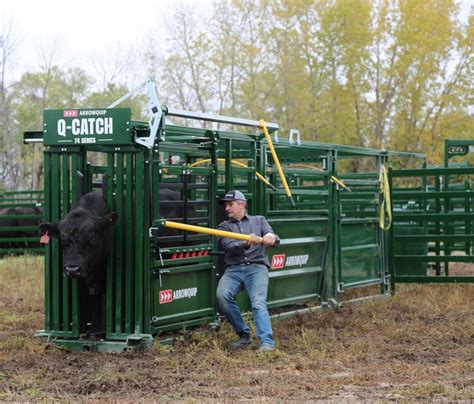 Being practical with portable cattle handling systems | AGDAILY