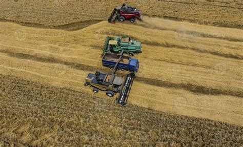 Harvesting wheat harvester. Agricultural machines harvest grain on the field. 36195495 Stock ...