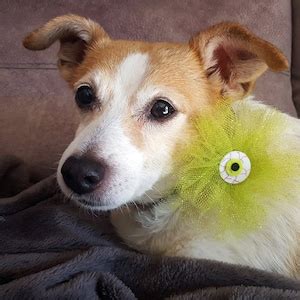 Halloween Dog Tie. Funny Halloween Pet Collar. Halloween Dog - Etsy