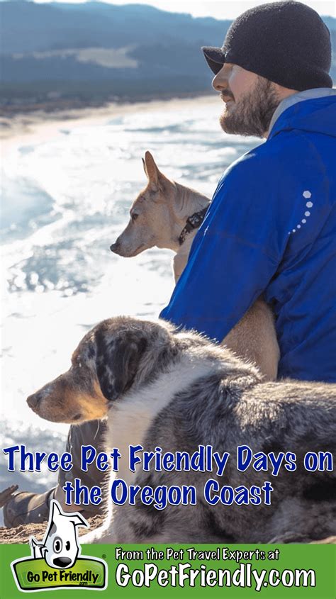 Three Pet Friendly Stays on the Oregon Coast | GoPetFriendly.com in 2020 | Oregon coast camping ...