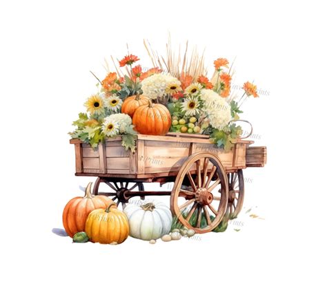 20 Watercolor Harvest Cornucopia Clipart Watercolor Harvest - Etsy