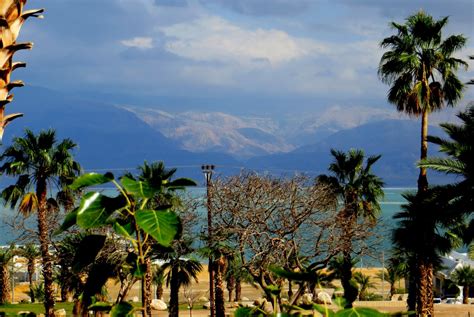 Free Images : israel, dead sea, mountains, palm trees, travel, resort ...