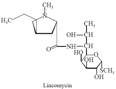 Lincosamides antibiotics