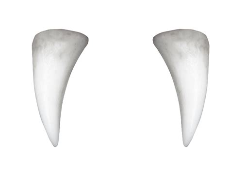 Collection of Vampire Teeth PNG. | PlusPNG