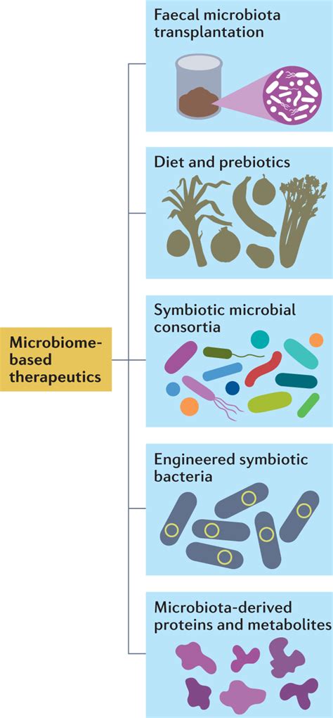 Microbiome-Based Therapeutics - International Society of Microbiota