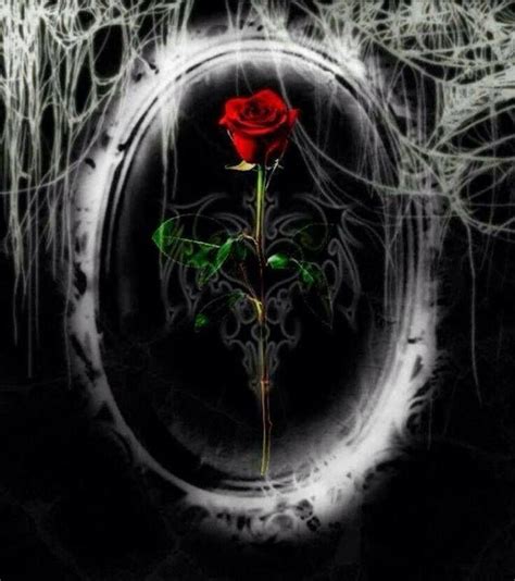 Pin by 🍃🌹🥀🍃PennyRose BLack🍃🌹🥀🍃 on ♥️BeAuTy AnD ThE GoThiC RoSe♥️ ...