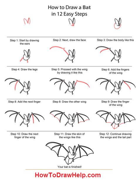 How to Draw a Bat Step By Step Tutorial | Draw a bat, Drawings, Bat activities for kids