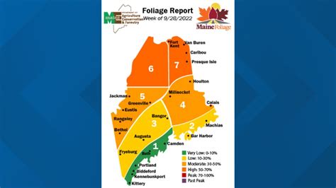 Maine fall foliage is on the rise | newscentermaine.com