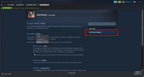 Can you hide recent activity steam - dareloua