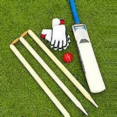 Cricket Equipment at best price in New Delhi by Matta Sports | ID: 1180815273