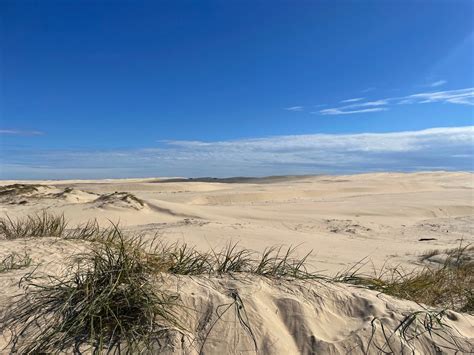 Anna Bay Sand Dunes — ANNA BAY - BEACH, STAY, EAT, PLAY