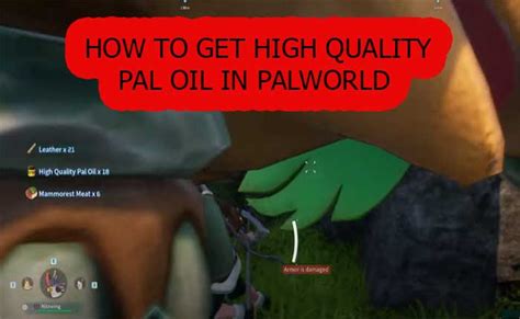 Palworld: How to Get High Quality Pal Oil (2024) » Arceus X