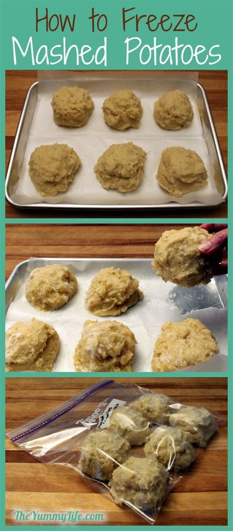 How to Freeze Mashed Potatoes | Frozen meals, Freezing mashed potatoes ...