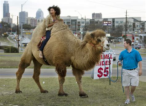 Camel Rides – Collective Vision | Photoblog for the Austin American ...