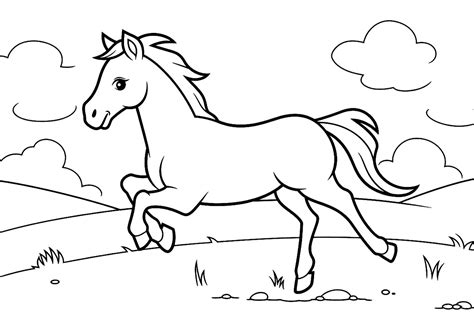 Horse Colors And Markings Coloring Pages - vrogue.co