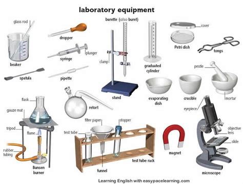 Learning the English words for laboratory equipment and their parts | Learning English ...