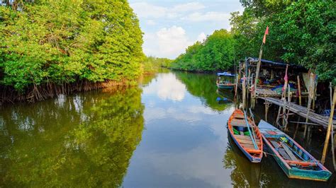 Four Types of Coastal Habitats and Why They Matter | The Pew Charitable ...