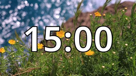 15 Minutes Timer with Music | Spring Timer - YouTube