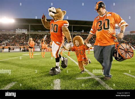 Bc Lions Mascot - From The Den To The Nest Bc Lions Standout Paris Jackson Joins Ubc ...