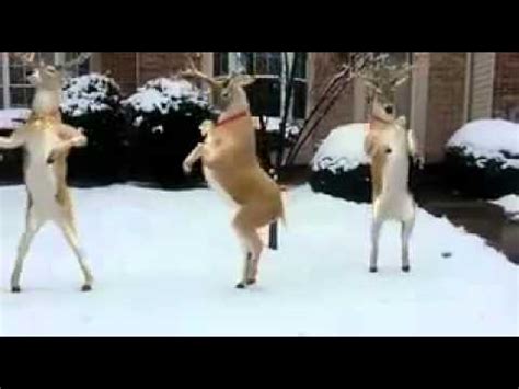 Reindeer Dancing to "Jingle Bells" Free Humor & Pranks eCards | 123 Greetings