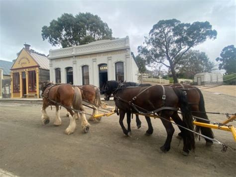 The Sovereign Hill Museum — Art Guide Australia