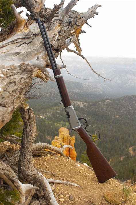 Lever action rifle. Henry lever action rifle the frontier octagonal in ...